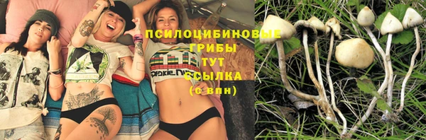 дмт Алексин