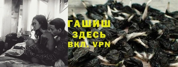 дмт Алексин